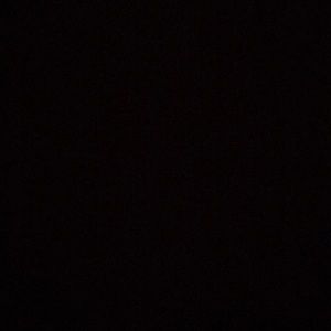 Meet your Posher, Jayla